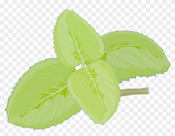 Mint Euclidean Vector - Mint Euclidean Vector