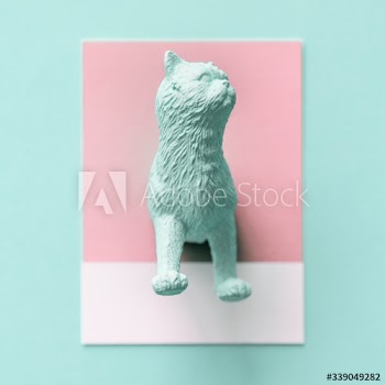 Mint green cat