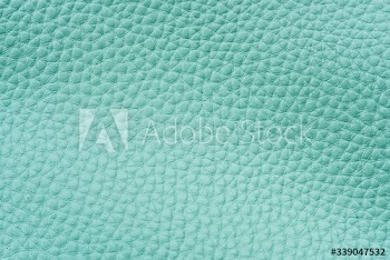 Mint green leather background