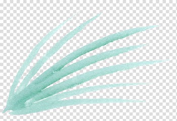 Mint, Hand-painted mint green leaves transparent background PNG clipart