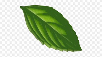 Mint Leaf Clip Art - Mint Leaf Clip Art