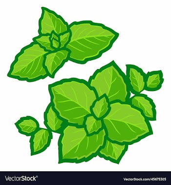mint leaves