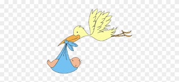 Miércoles, 1 De Enero De - Cigueñas Para Baby Shower