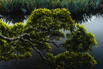 Mirror Lakes