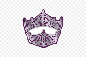 Miss Delaware Miss America 2017 Beauty Pageant Lapel pin - crown material 