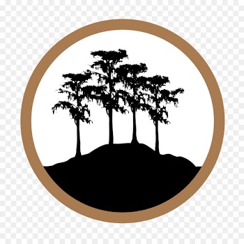 Mississippi River Delta Coalition to Restore Coastal Louisiana Ridge - mississippi river animation 