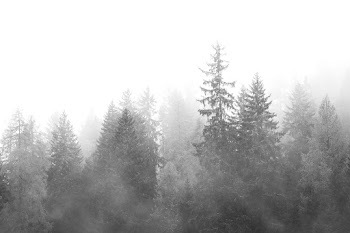 Mist overlay texture PSD effect photoshop add… | Free stock photo | High Resolution image