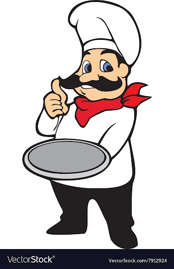 Mister Chef vector image