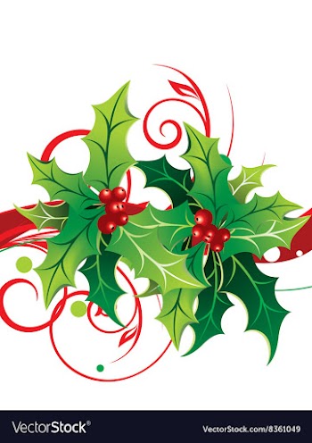Mistle Toe Design vector image