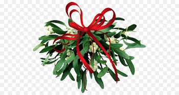Mistletoe Christmas Clip art - Mistletoe Cliparts Transparent 