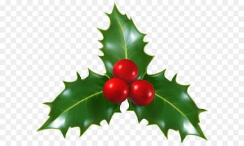 Mistletoe Christmas Common holly Clip art - Christmas Holly Mistletoe PNG Clip-Art Image 