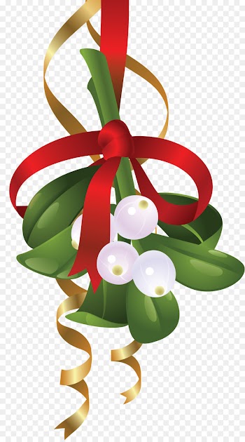 Mistletoe, Christmas Day, Christmas Decoration, Flower, Plant PNG