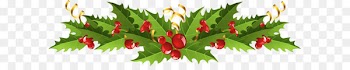Mistletoe Christmas decoration Common holly Clip art - Transparent Christmas Mistletoe Decor PNG Picture 