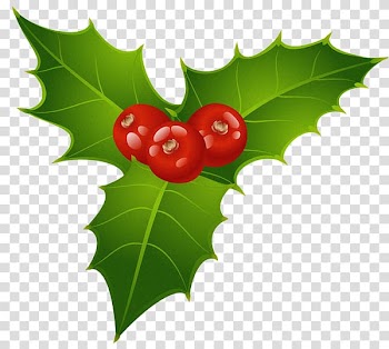 Mistletoe Christmas Holly , Mistletoe transparent background PNG clipart