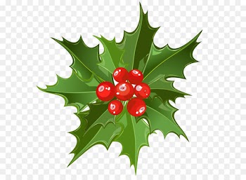 Mistletoe Christmas Santa Claus Clip art - Christmas Mistletoe PNG Art 