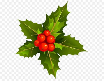 Mistletoe Clip art - Transparent Christmas Mistletoe Clipart 