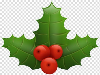 Mistletoe , Common holly Santa Claus Christmas , Christmas Holly transparent background PNG clipart