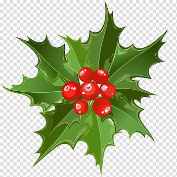 Mistletoe illustration, Mistletoe Christmas Santa Claus , Christmas Mistletoe Art transparent background PNG clipart