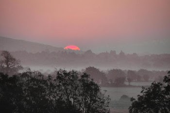 Misty-02-10-11-_0012.JPG