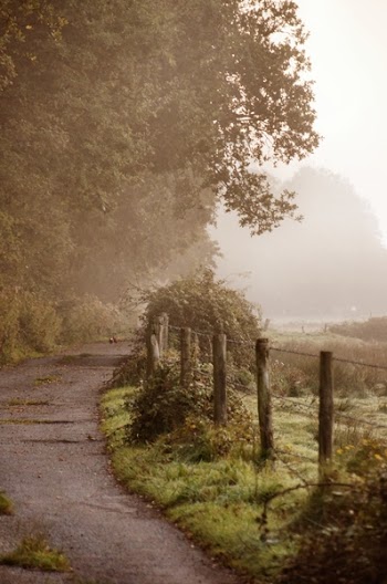 Misty-02-10-11-_0021.JPG
