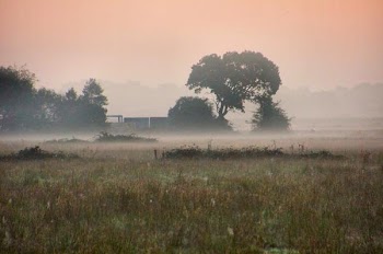 Misty-02-10-11-_0026.JPG
