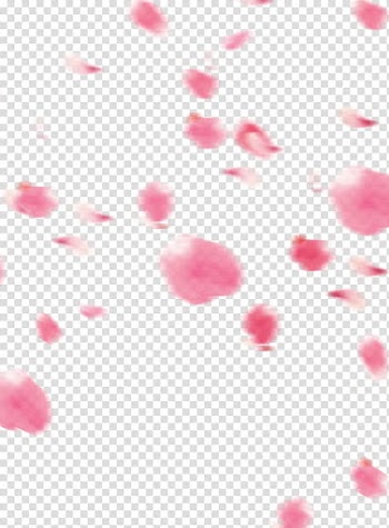 Misty floral flower transparent background PNG clipart