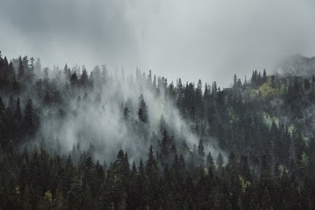 Misty morning on Durmitor mountain