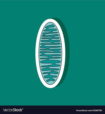 Mitochondrion paper sticker on stylish background vector image