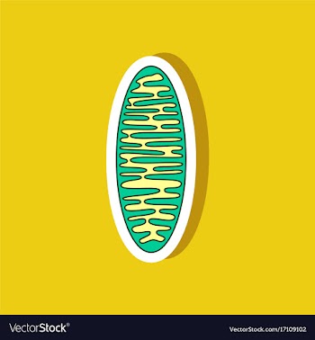 Mitochondrion paper sticker on stylish background vector image