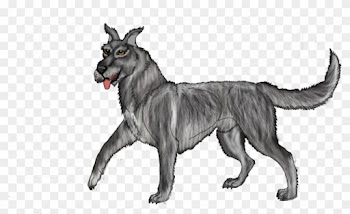 Mixed Breed Great Dane X Irish Wolf Hound Open By Lighteningfox - Irish Wolfhound