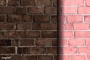 Mixed brick wall backgrounds | Free stock vector - 584248