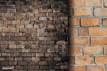 Mixed brick wall backgrounds | Free stock vector - 584312