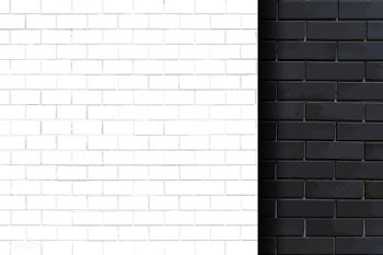 Mixed brick wall backgrounds | Free stock vector - 584315