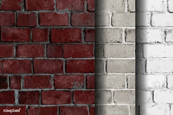 Mixed brick wall backgrounds | Free stock vector - 584343