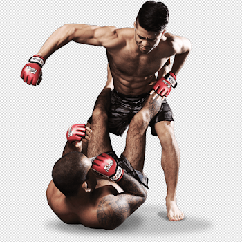 Mixed Martial Arts Fight Free PNG Image