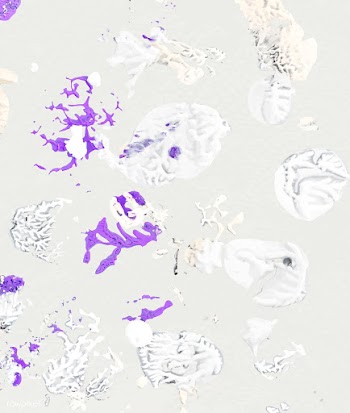 Mixed paint splatter | Free stock vector - 581977