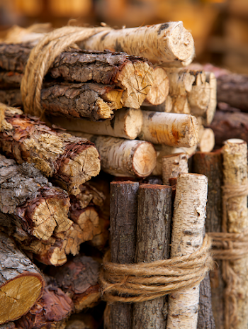 Mixed Timber Logs Stack