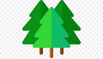 Miyanomori, Miyanomori 1 Jo, Smile Marche, Christmas Tree, Oregon Pine PNG
