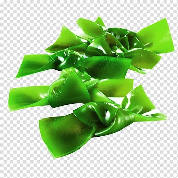 Miyeok-guk Saccharina japonica Vegetable Kombu Food, Green sea belt knot food material transparent background PNG clipart