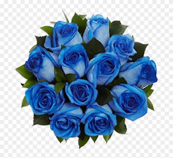 Mob Rec - Bunch Of Blue Rose Flowers