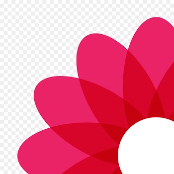 Mobile app App Store Moscow Flower bouquet - flower 