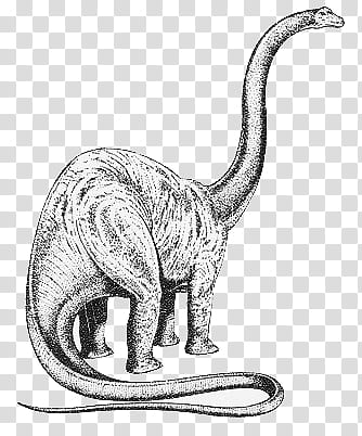 Mochizuki  animals, Apatosaurus transparent background PNG clipart