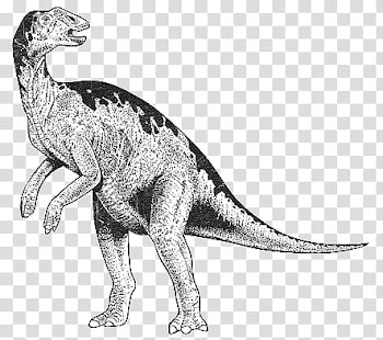 Mochizuki  animals, gray dinosaur sketch transparent background PNG clipart