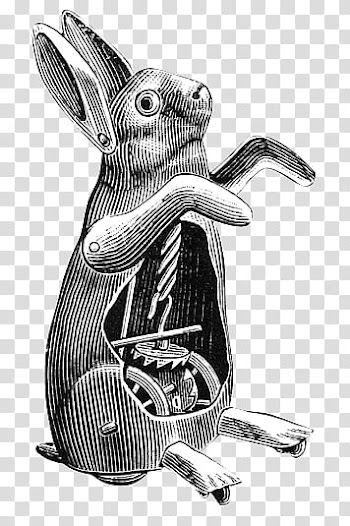 Mochizuki  animals, gray rabbit sketch transparent background PNG clipart