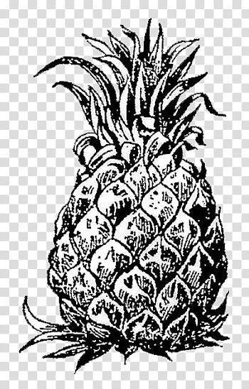 Mochizuki  white and black, pineapple fruit transparent background PNG clipart