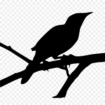 Mockingbird Clip art Image Openclipart JPEG -  