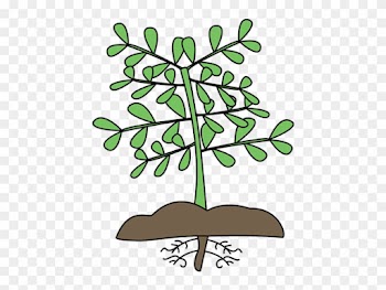 Mockingbird Nursery Site Icon - Plants Clipart