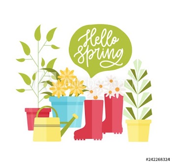 Modern composition with equipment for gardening and agriculture, Hello Spring lettering and plants growing in pots isolated on white background