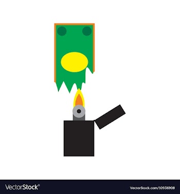 Modern flat icon money to burn on white vector image