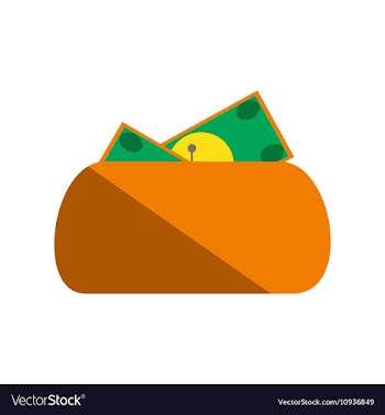 Modern flat icon purse and money on white vector image